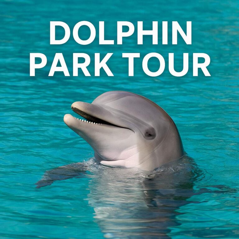 Dolphin Park Tour